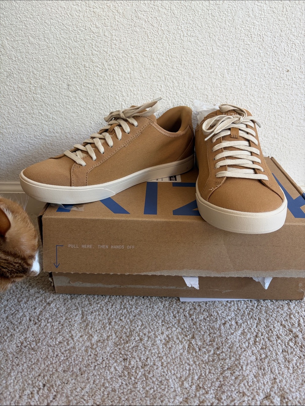 Kizik Irvine Casual Canvas Sneakers in Tan - Low Top Lace-Up- NWT